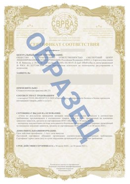 Образец Сертификат СТО 01.064.00220722.2-2020 Иланский Сертификат СТО 01.064.00220722.2-2020 